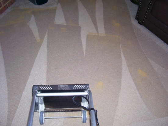 dry carpet